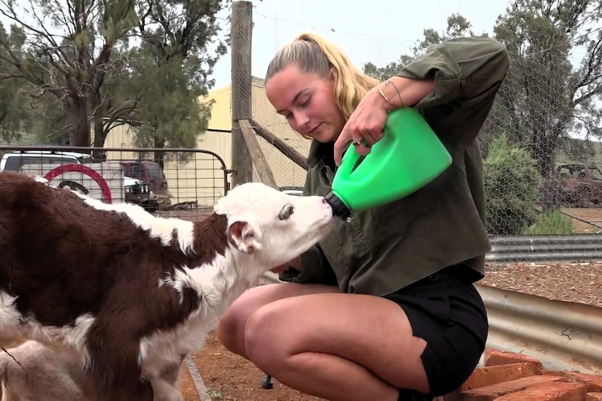 A young woman is feeding a calf and a lamb with a bottle.
