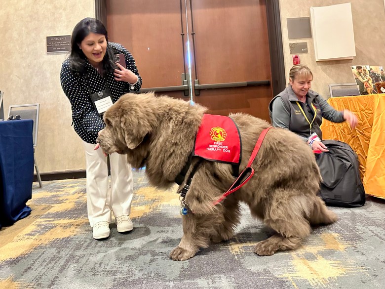 During Monday's meeting, attendees were treated to Shinji, a Newfoundland dog who serves as a therapy dog ​​for first responders.