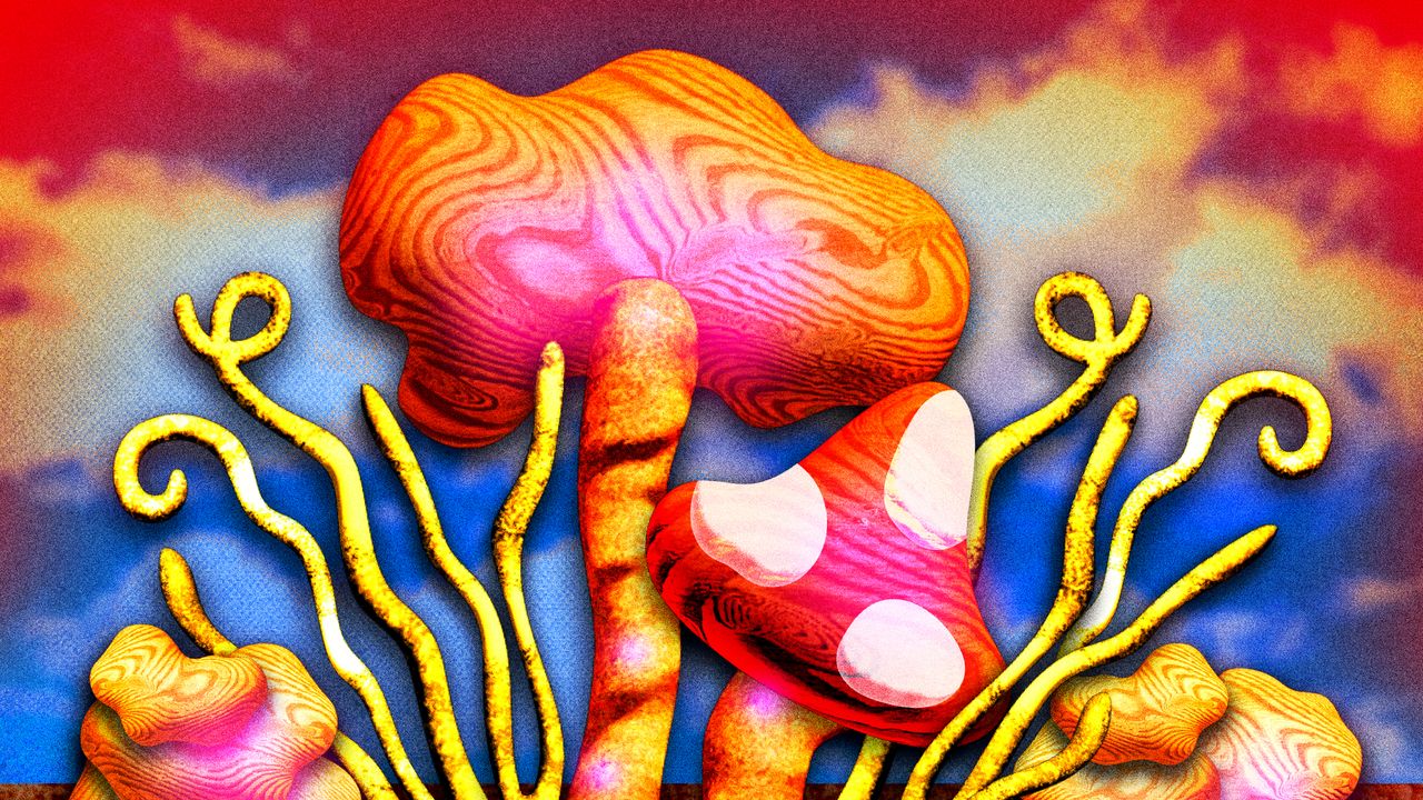 Experts say mushroom supplements can help with stress, sleep and energy